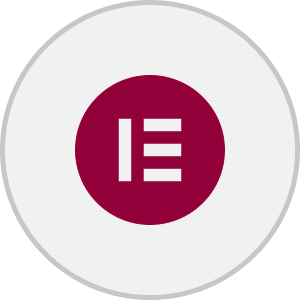 Elementor 1